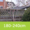 Malus Harry Baker Half Standard 180-240cm